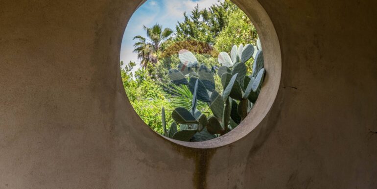 20250529221010-932798-32