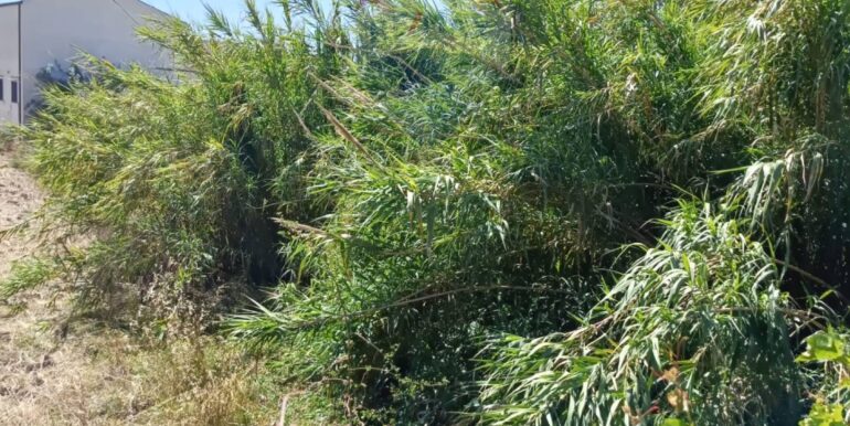 20250605114346-953829-6