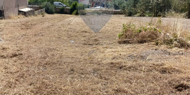 20250605114401-953829-11