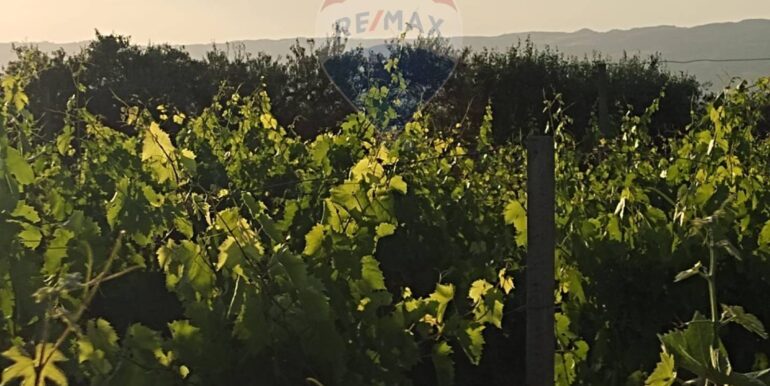 20250605234324-955875-5