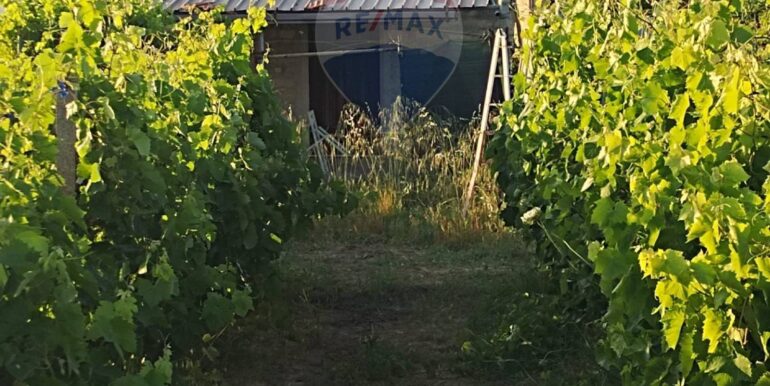 20250605234326-955875-6