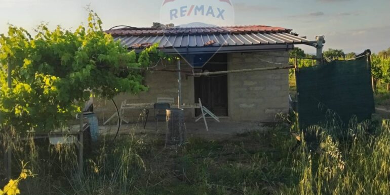 20250605234331-955875-9