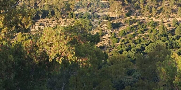 20250605234335-955875-11