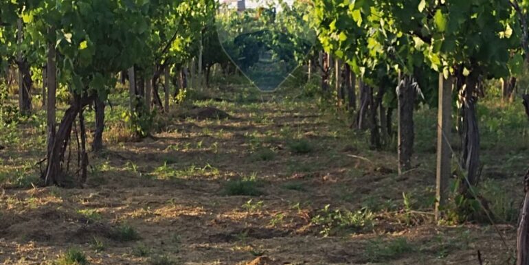 20250605234337-955875-12