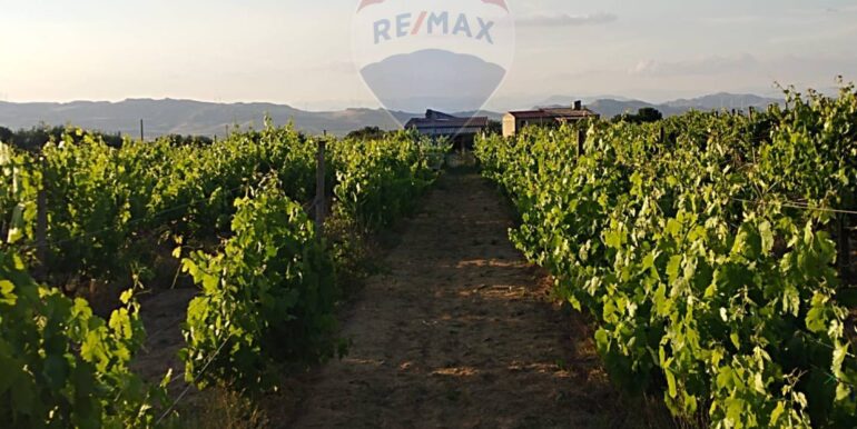 20250605234340-955875-14