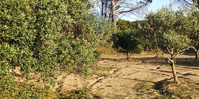 20250605234342-955875-15