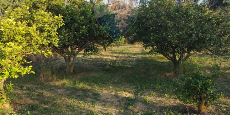 20250605234345-955875-16