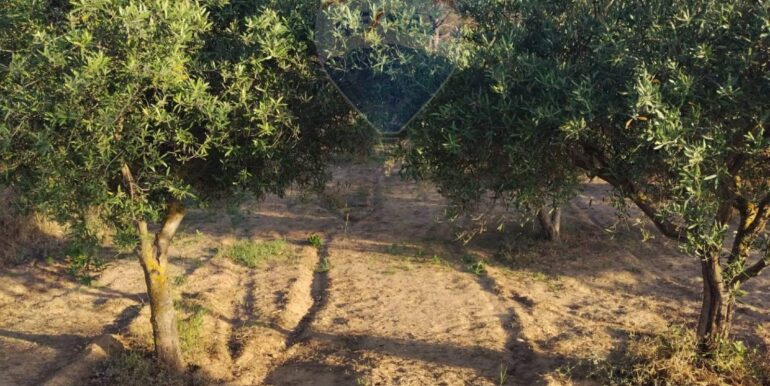 20250605234347-955875-17