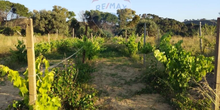 20250605234349-955875-18