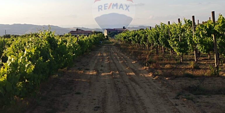 20250605234351-955875-19