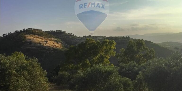 20250605234352-955875-20