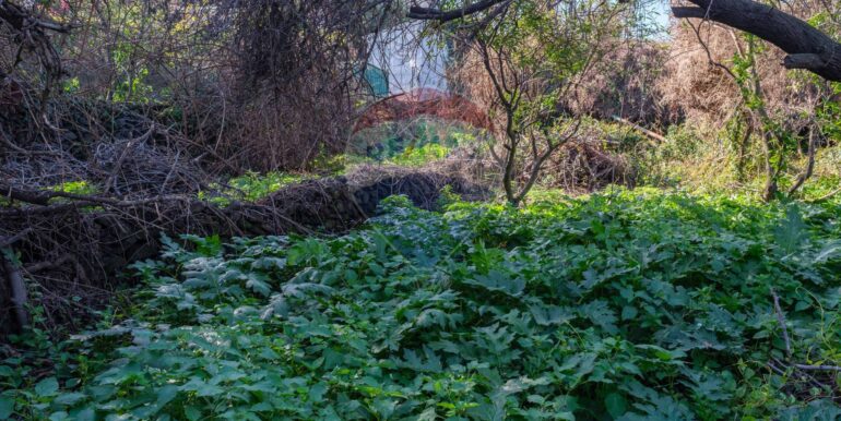 20250606124727-955964-0