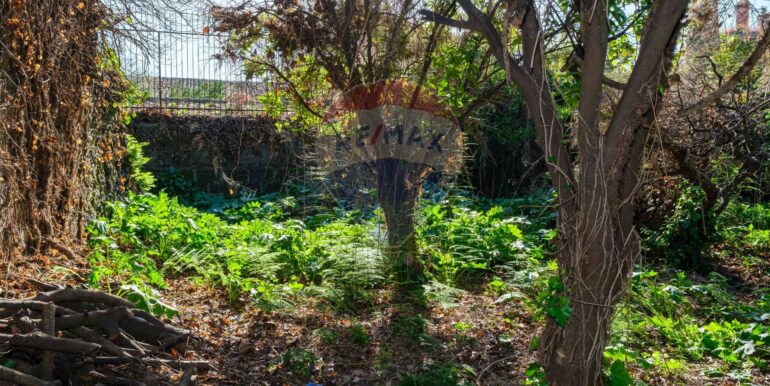 20250606124728-955964-3