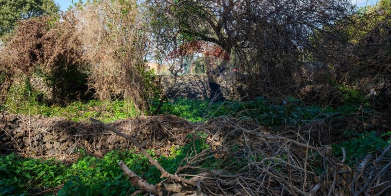 20250606124730-955964-7