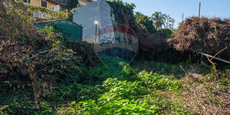 20250606124730-955964-8