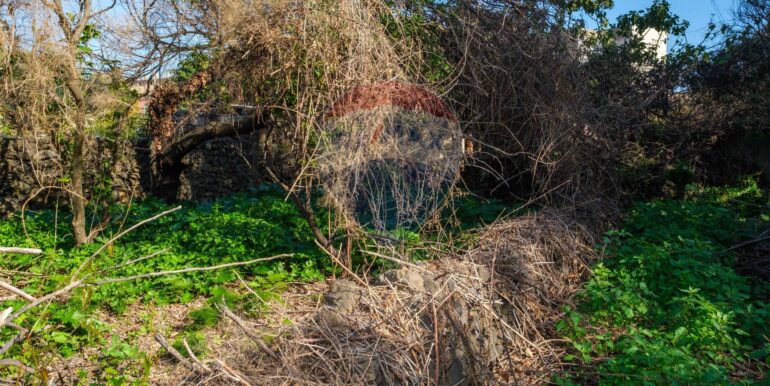 20250606124731-955964-10