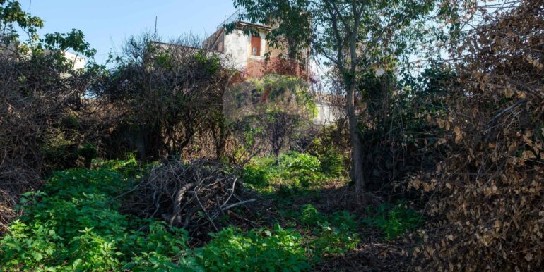 20250606124731-955964-9