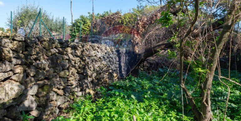 20250606124733-955964-14