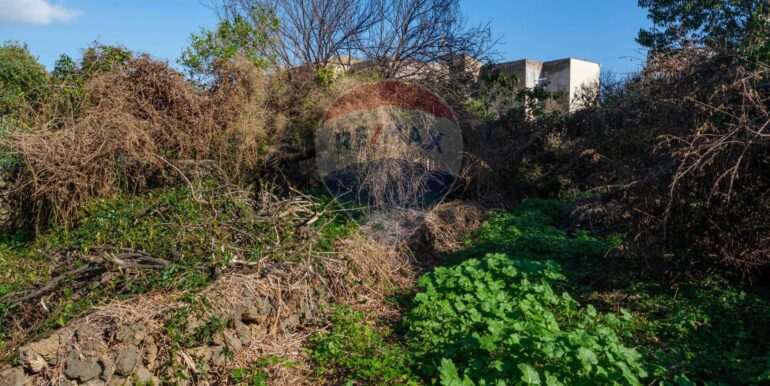 20250606124734-955964-16