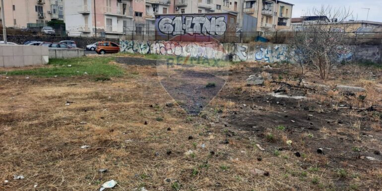 2025061194257-957720-9