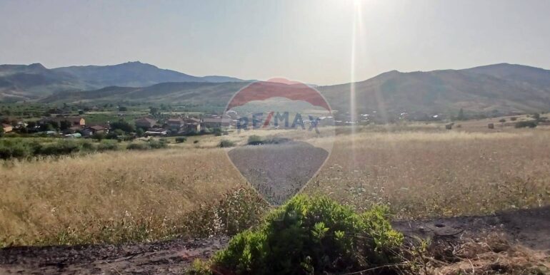 20250625202941-962265-1