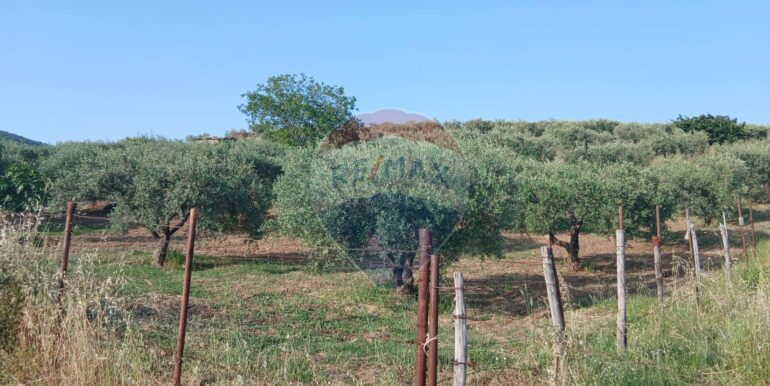 20250625202945-962265-4