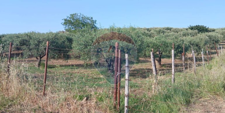 20250625202946-962265-5