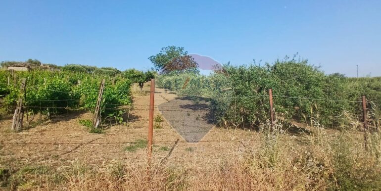 20250625202948-962265-6