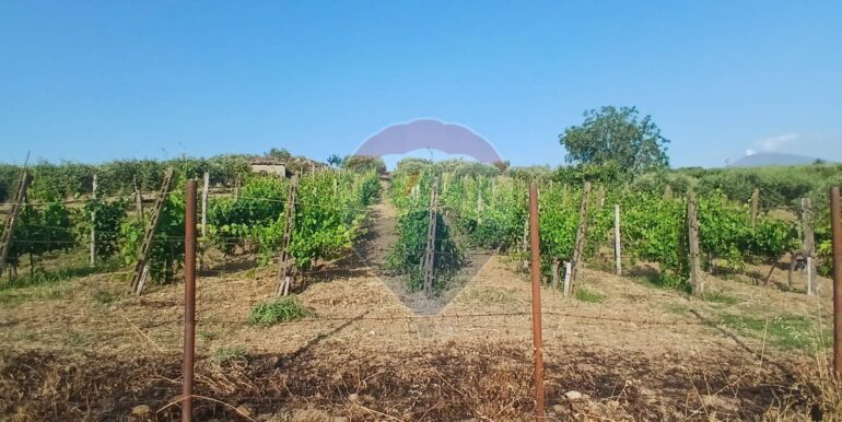 20250625202950-962265-7