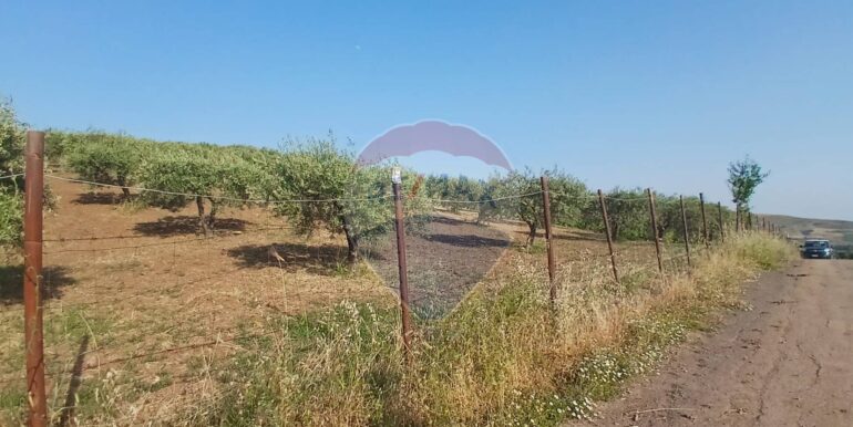 20250625202951-962265-8