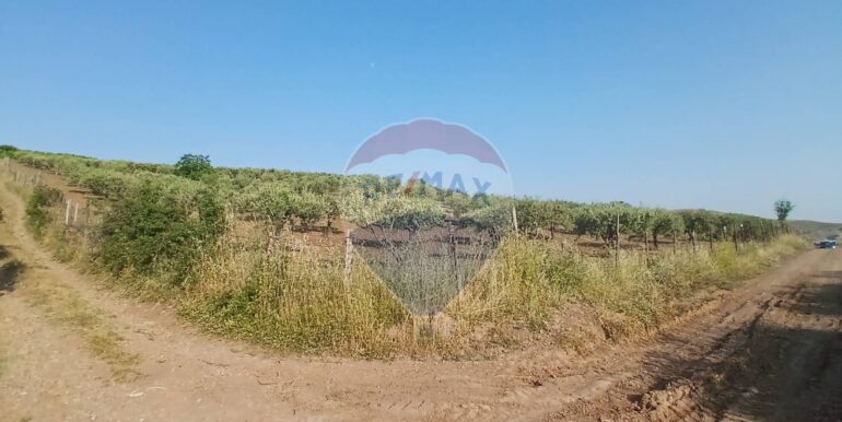 20250625202953-962265-9