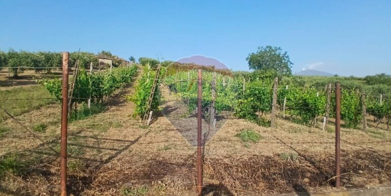 20250625202954-962265-10