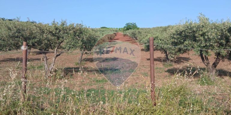 20250625202956-962265-11