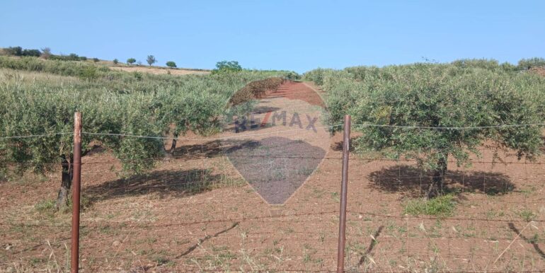 20250625202957-962265-12