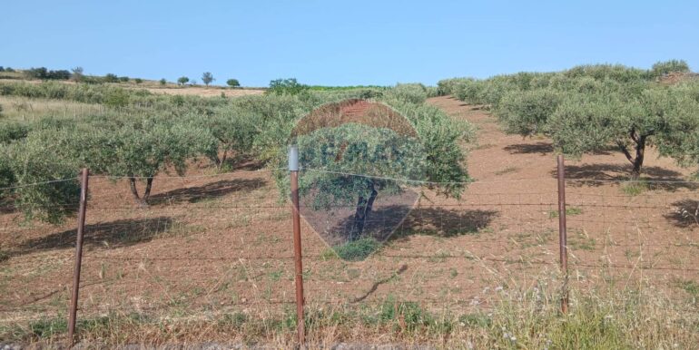 20250625202959-962265-13