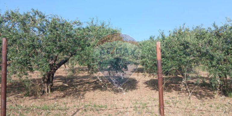 20250625203001-962265-14