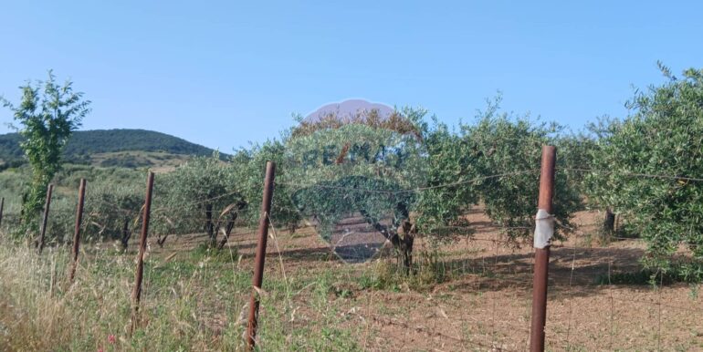 20250625203003-962265-15