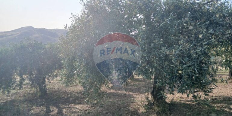 20250625203005-962265-16