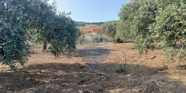 20250625203006-962265-17