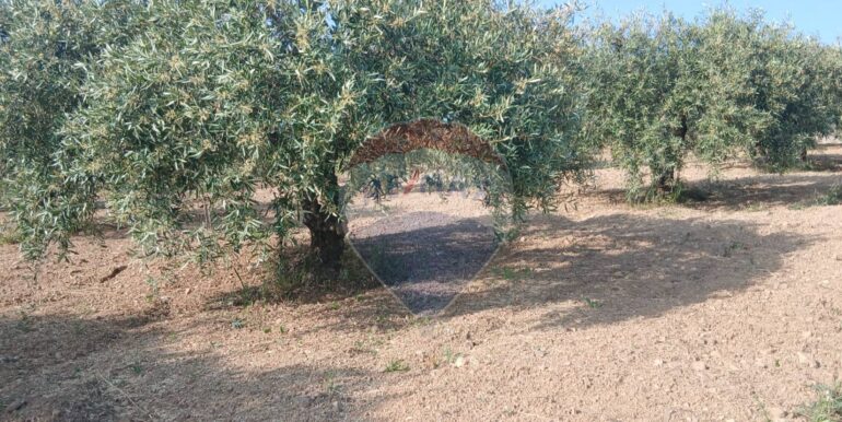 20250625203008-962265-18