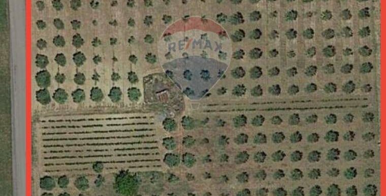 20250625203058-962265-21