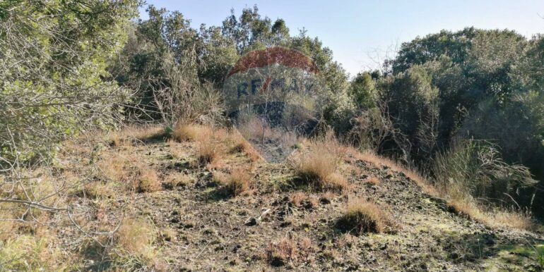 20250626101025-962314-0