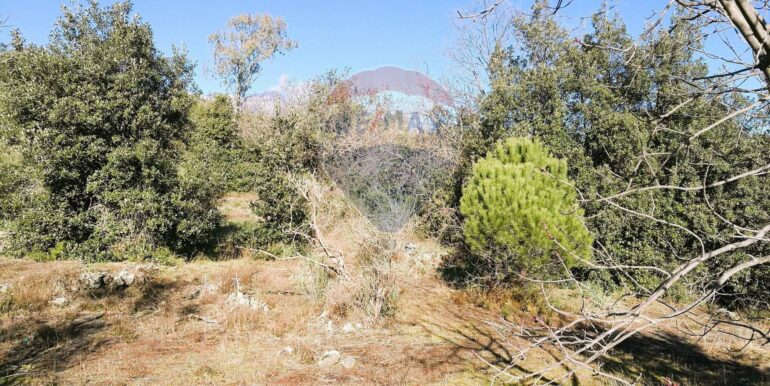 20250626101027-962314-2