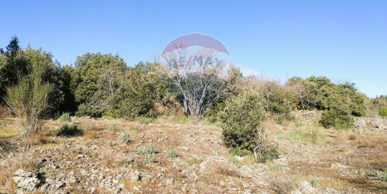 20250626101028-962314-3