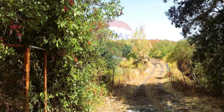 20250626101030-962314-5