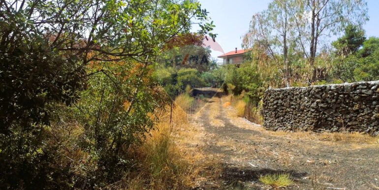 20250626101033-962314-9