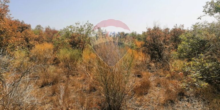 20250626101034-962314-10