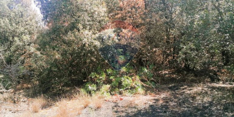 20250626101037-962314-12