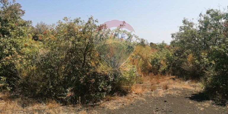 20250626101038-962314-13