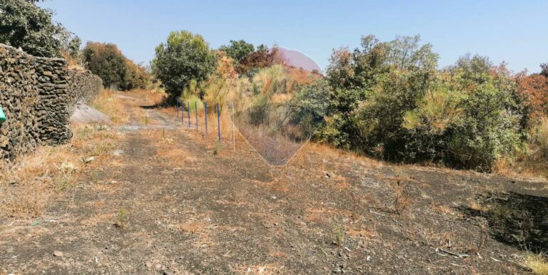 20250626101039-962314-14